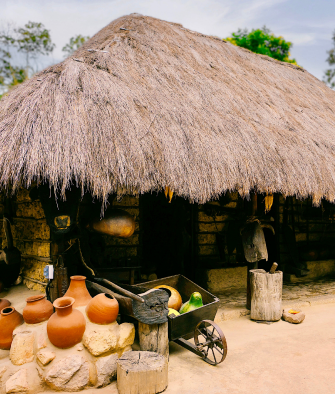 Cultura Shuar y Waorani